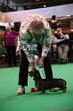 Crufts2011_2 1642